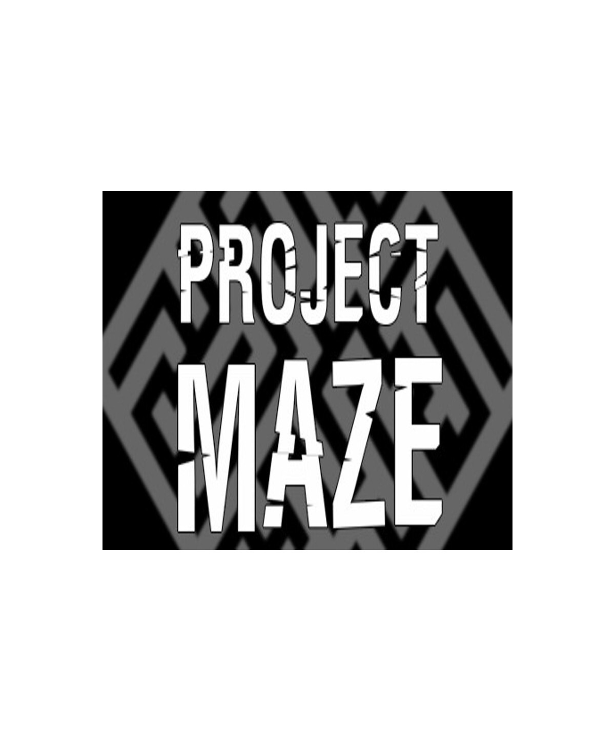 PROJECT MAZE Steam Key GLOBAL